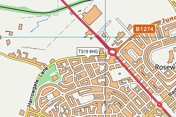 TS19 8HG map - OS VectorMap District (Ordnance Survey) TS19 8HG map - OS VectorMap District (Ordnance Survey)
