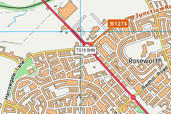 TS19 8HN map - OS VectorMap District (Ordnance Survey) TS19 8HN map - OS VectorMap District (Ordnance Survey)