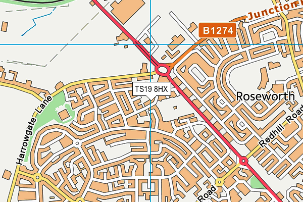 TS19 8HX map - OS VectorMap District (Ordnance Survey) TS19 8HX map - OS VectorMap District (Ordnance Survey)
