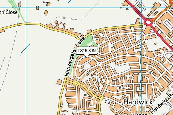 TS19 8JN map - OS VectorMap District (Ordnance Survey) TS19 8JN map - OS VectorMap District (Ordnance Survey)
