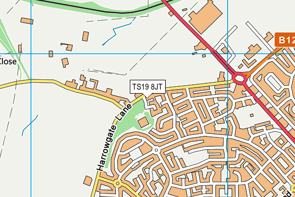 TS19 8JT map - OS VectorMap District (Ordnance Survey) TS19 8JT map - OS VectorMap District (Ordnance Survey)