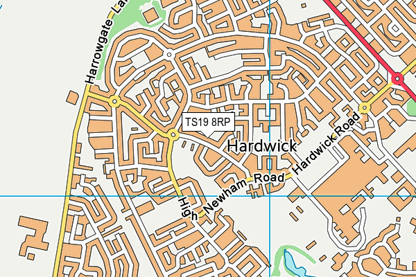 TS19 8RP map - OS VectorMap District (Ordnance Survey) TS19 8RP map - OS VectorMap District (Ordnance Survey)