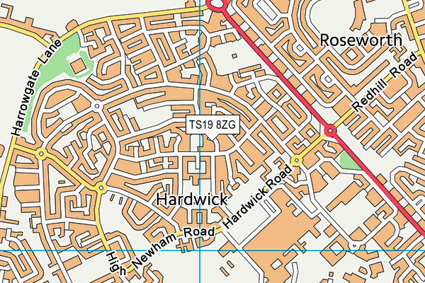 TS19 8ZG map - OS VectorMap District (Ordnance Survey) TS19 8ZG map - OS VectorMap District (Ordnance Survey)