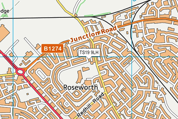 TS19 9LH map - OS VectorMap District (Ordnance Survey) TS19 9LH map - OS VectorMap District (Ordnance Survey)