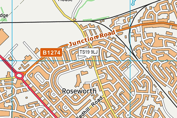 TS19 9LJ map - OS VectorMap District (Ordnance Survey) TS19 9LJ map - OS VectorMap District (Ordnance Survey)
