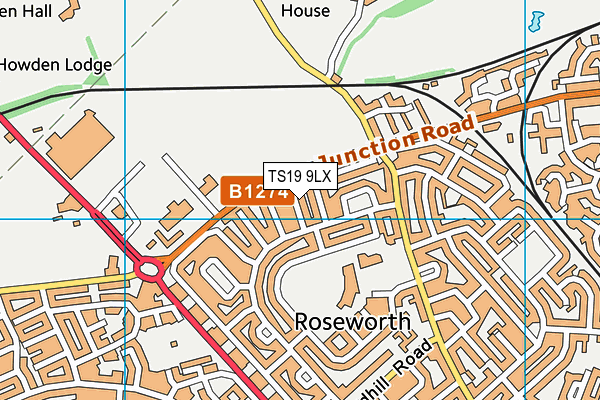 TS19 9LX map - OS VectorMap District (Ordnance Survey)