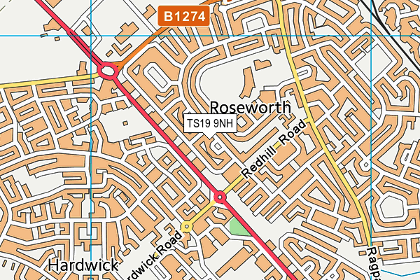 TS19 9NH map - OS VectorMap District (Ordnance Survey) TS19 9NH map - OS VectorMap District (Ordnance Survey)