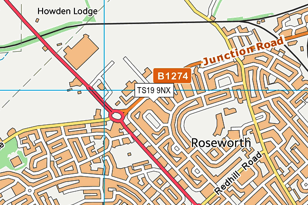 TS19 9NX map - OS VectorMap District (Ordnance Survey) TS19 9NX map - OS VectorMap District (Ordnance Survey)