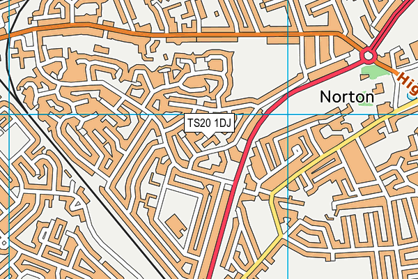 TS20 1DJ map - OS VectorMap District (Ordnance Survey) TS20 1DJ map - OS VectorMap District (Ordnance Survey)