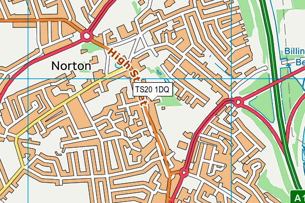 TS20 1DQ map - OS VectorMap District (Ordnance Survey) TS20 1DQ map - OS VectorMap District (Ordnance Survey)