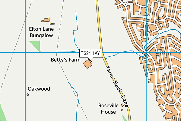 TS21 1AY map - OS VectorMap District (Ordnance Survey) TS21 1AY map - OS VectorMap District (Ordnance Survey)