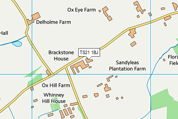 TS21 1BJ map - OS VectorMap District (Ordnance Survey) TS21 1BJ map - OS VectorMap District (Ordnance Survey)