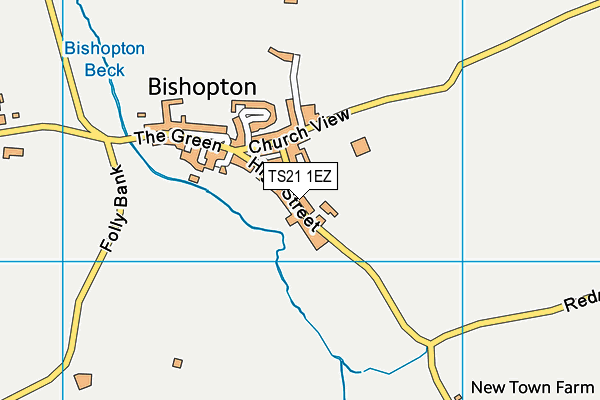 TS21 1EZ map - OS VectorMap District (Ordnance Survey) TS21 1EZ map - OS VectorMap District (Ordnance Survey)