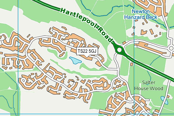 TS22 5GJ map - OS VectorMap District (Ordnance Survey) TS22 5GJ map - OS VectorMap District (Ordnance Survey)