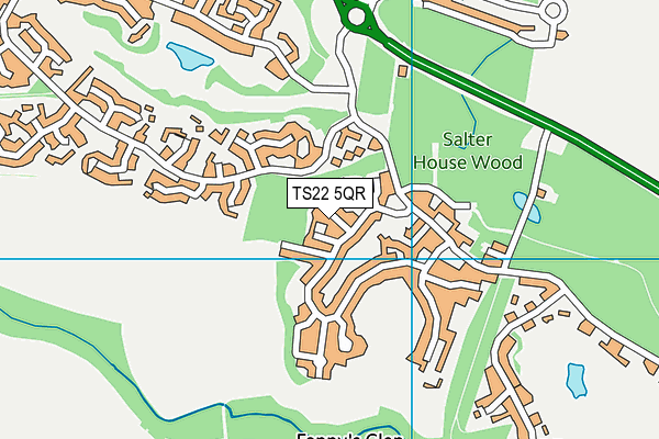 TS22 5QR map - OS VectorMap District (Ordnance Survey) TS22 5QR map - OS VectorMap District (Ordnance Survey)