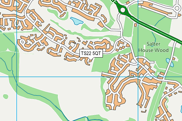 TS22 5QT map - OS VectorMap District (Ordnance Survey) TS22 5QT map - OS VectorMap District (Ordnance Survey)