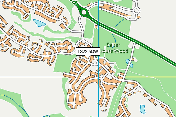 TS22 5QW map - OS VectorMap District (Ordnance Survey) TS22 5QW map - OS VectorMap District (Ordnance Survey)