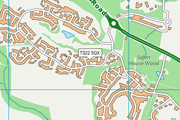 TS22 5QX map - OS VectorMap District (Ordnance Survey) TS22 5QX map - OS VectorMap District (Ordnance Survey)