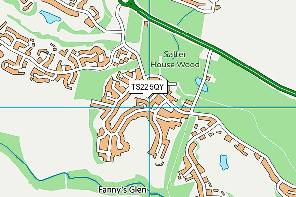TS22 5QY map - OS VectorMap District (Ordnance Survey) TS22 5QY map - OS VectorMap District (Ordnance Survey)