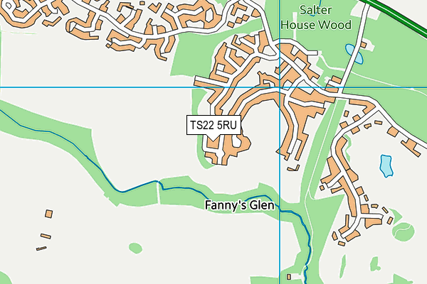 TS22 5RU map - OS VectorMap District (Ordnance Survey) TS22 5RU map - OS VectorMap District (Ordnance Survey)