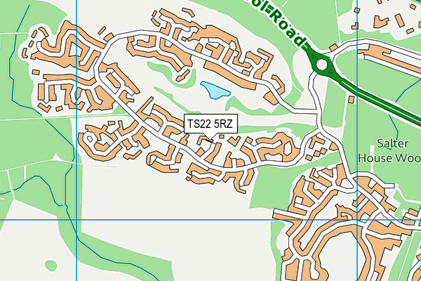 TS22 5RZ map - OS VectorMap District (Ordnance Survey) TS22 5RZ map - OS VectorMap District (Ordnance Survey)