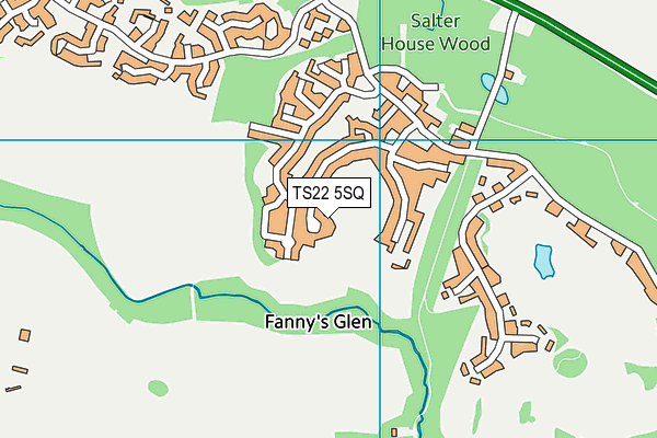 TS22 5SQ map - OS VectorMap District (Ordnance Survey) TS22 5SQ map - OS VectorMap District (Ordnance Survey)