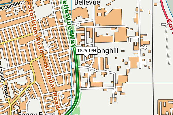 TS25 1PH map - OS VectorMap District (Ordnance Survey) TS25 1PH map - OS VectorMap District (Ordnance Survey)