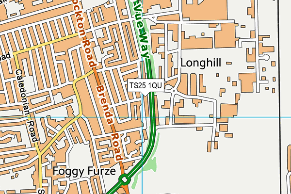TS25 1QU map - OS VectorMap District (Ordnance Survey) TS25 1QU map - OS VectorMap District (Ordnance Survey)