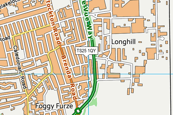 TS25 1QY map - OS VectorMap District (Ordnance Survey) TS25 1QY map - OS VectorMap District (Ordnance Survey)