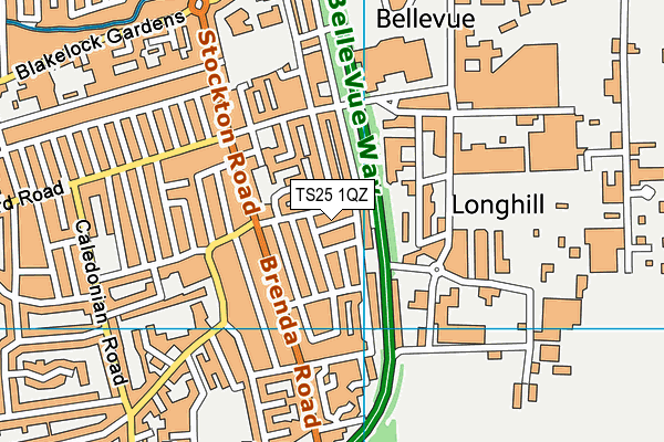 TS25 1QZ map - OS VectorMap District (Ordnance Survey) TS25 1QZ map - OS VectorMap District (Ordnance Survey)