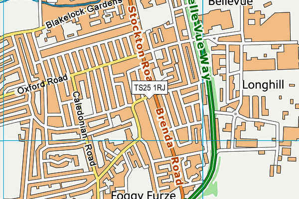 TS25 1RJ map - OS VectorMap District (Ordnance Survey)
