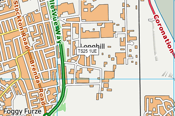 TS25 1UE map - OS VectorMap District (Ordnance Survey) TS25 1UE map - OS VectorMap District (Ordnance Survey)