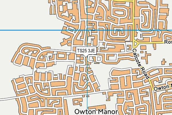TS25 3JE map - OS VectorMap District (Ordnance Survey) TS25 3JE map - OS VectorMap District (Ordnance Survey)