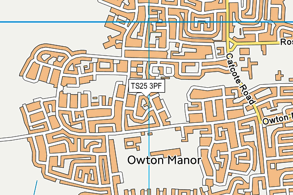 TS25 3PF map - OS VectorMap District (Ordnance Survey) TS25 3PF map - OS VectorMap District (Ordnance Survey)