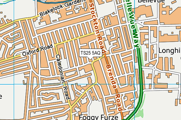 TS25 5AQ map - OS VectorMap District (Ordnance Survey) TS25 5AQ map - OS VectorMap District (Ordnance Survey)