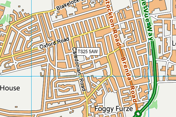TS25 5AW map - OS VectorMap District (Ordnance Survey) TS25 5AW map - OS VectorMap District (Ordnance Survey)