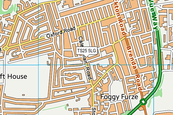 TS25 5LG map - OS VectorMap District (Ordnance Survey) TS25 5LG map - OS VectorMap District (Ordnance Survey)