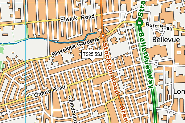TS25 5SJ map - OS VectorMap District (Ordnance Survey) TS25 5SJ map - OS VectorMap District (Ordnance Survey)