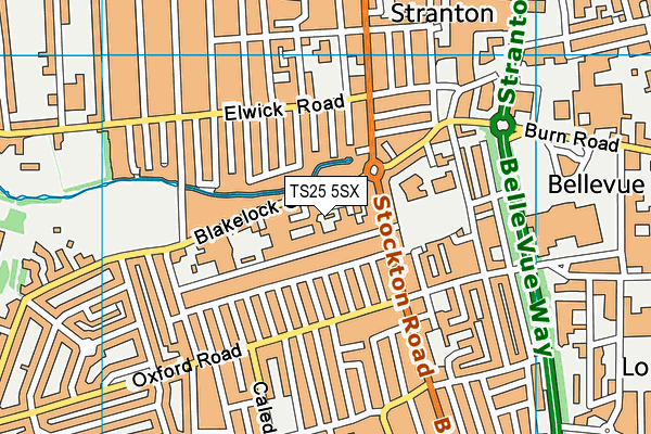 TS25 5SX map - OS VectorMap District (Ordnance Survey) TS25 5SX map - OS VectorMap District (Ordnance Survey)