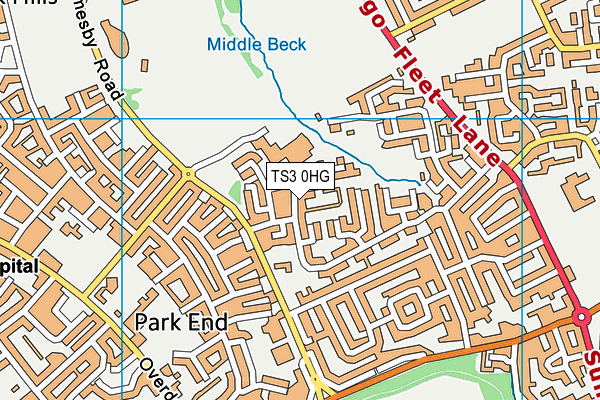 TS3 0HG map - OS VectorMap District (Ordnance Survey) TS3 0HG map - OS VectorMap District (Ordnance Survey)