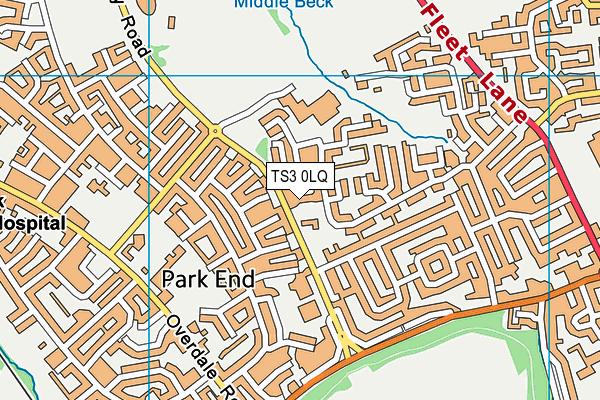 TS3 0LQ map - OS VectorMap District (Ordnance Survey) TS3 0LQ map - OS VectorMap District (Ordnance Survey)