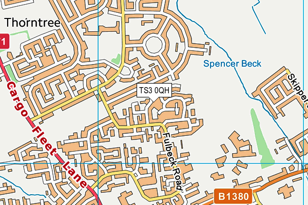 TS3 0QH map - OS VectorMap District (Ordnance Survey) TS3 0QH map - OS VectorMap District (Ordnance Survey)