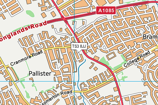 TS3 8JJ map - OS VectorMap District (Ordnance Survey) TS3 8JJ map - OS VectorMap District (Ordnance Survey)