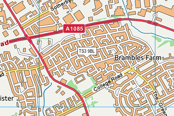 TS3 9BL map - OS VectorMap District (Ordnance Survey) TS3 9BL map - OS VectorMap District (Ordnance Survey)