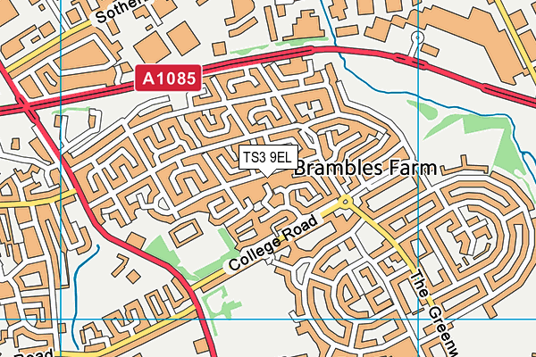 TS3 9EL map - OS VectorMap District (Ordnance Survey) TS3 9EL map - OS VectorMap District (Ordnance Survey)