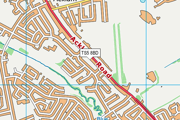 TS5 8BD map - OS VectorMap District (Ordnance Survey) TS5 8BD map - OS VectorMap District (Ordnance Survey)