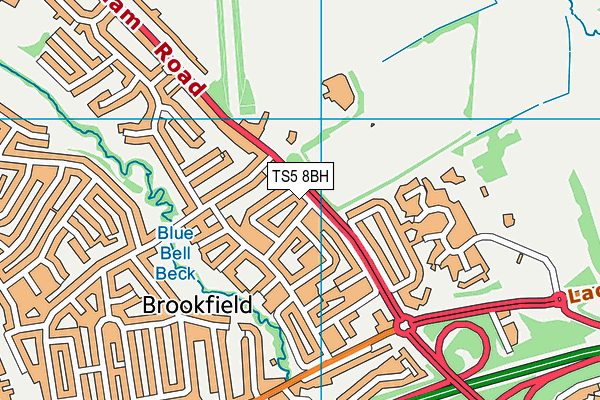 TS5 8BH map - OS VectorMap District (Ordnance Survey) TS5 8BH map - OS VectorMap District (Ordnance Survey)