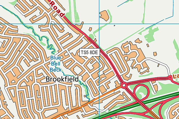 TS5 8DE map - OS VectorMap District (Ordnance Survey) TS5 8DE map - OS VectorMap District (Ordnance Survey)