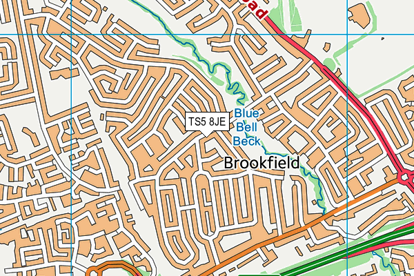 TS5 8JE map - OS VectorMap District (Ordnance Survey) TS5 8JE map - OS VectorMap District (Ordnance Survey)