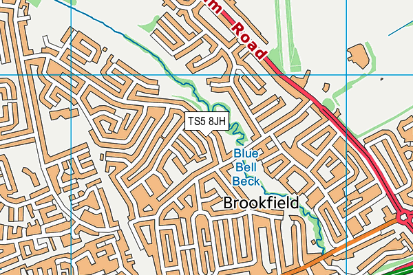TS5 8JH map - OS VectorMap District (Ordnance Survey) TS5 8JH map - OS VectorMap District (Ordnance Survey)
